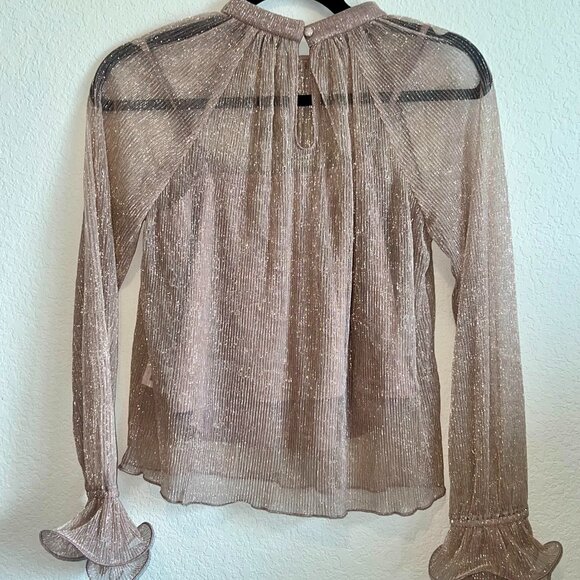 Lucy Paris Long Sleeve Mauve Sheer Top - Picture 3 of 3